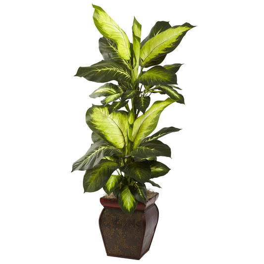 Dieffenbachia doré avec jardinière décorative