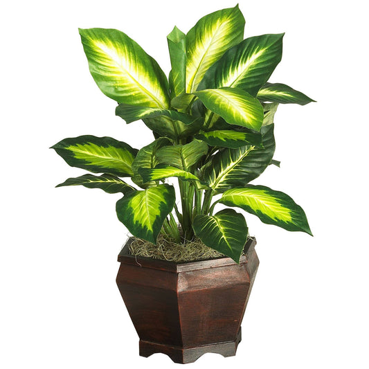 Plante en soie Dieffenbachia doré avec vase en bois