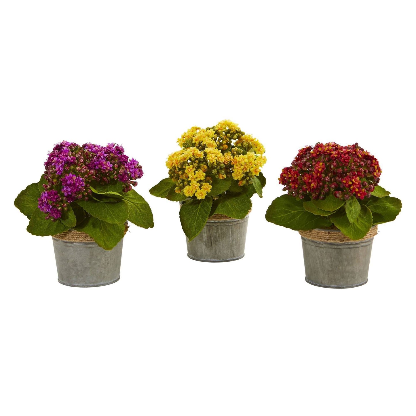 Arrangements artificiels de Kalanchoe (lot de 3)