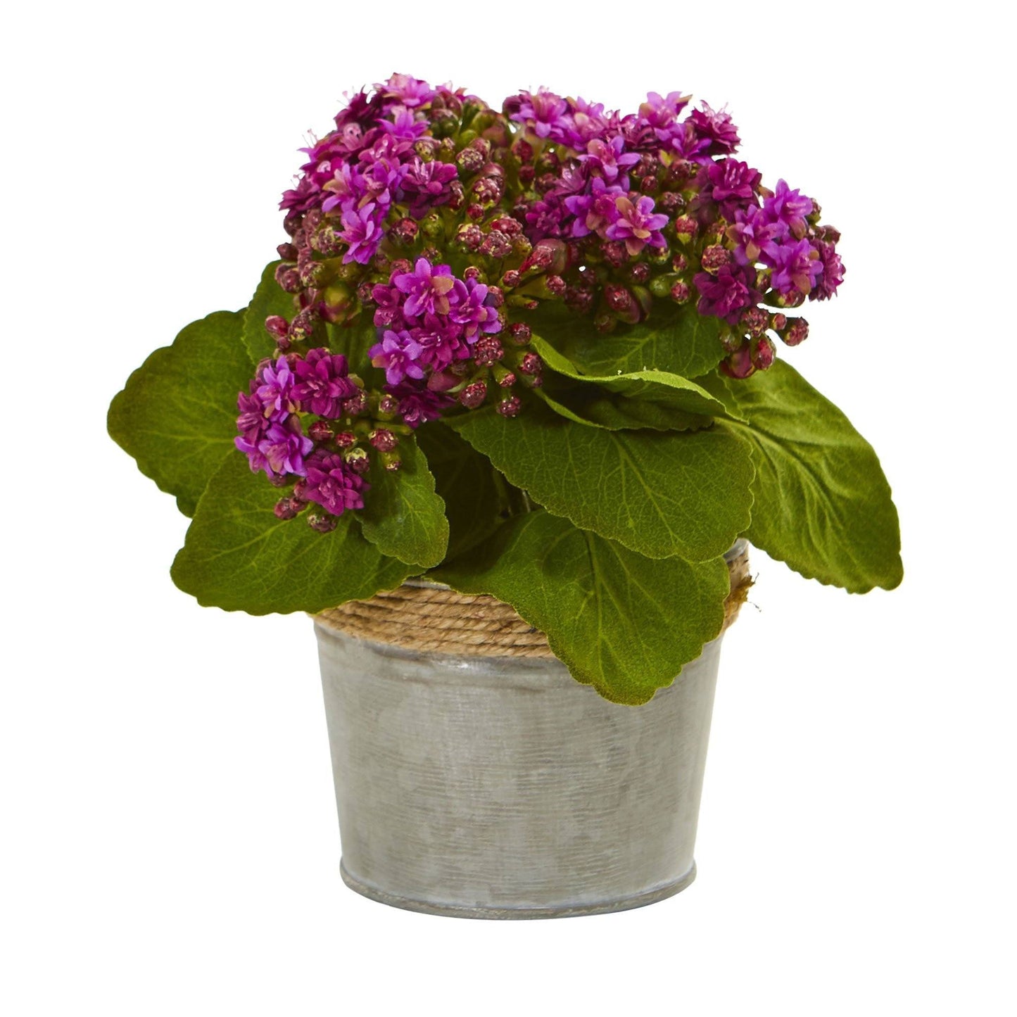 Arrangements artificiels de Kalanchoe (lot de 3)