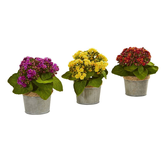 Arrangements artificiels de Kalanchoe (lot de 3)