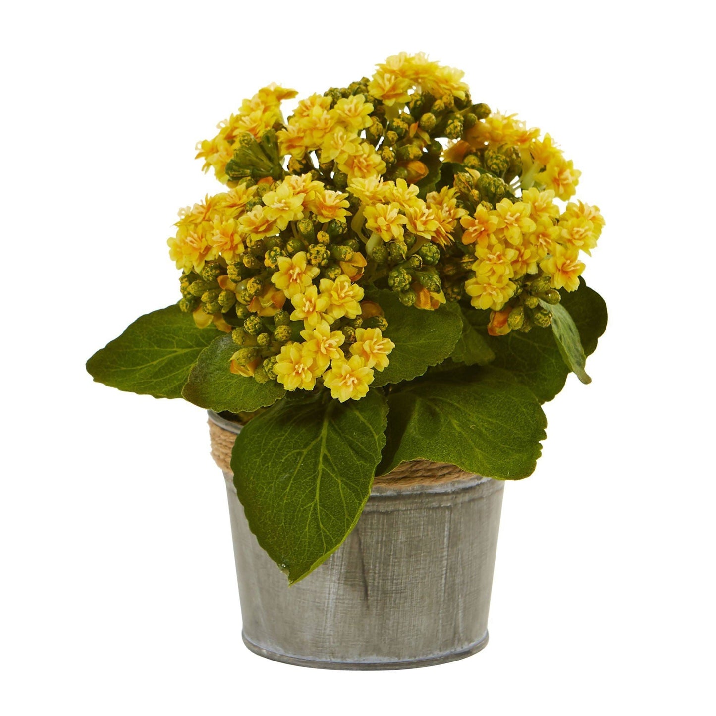 Arrangements artificiels de Kalanchoe (lot de 3)