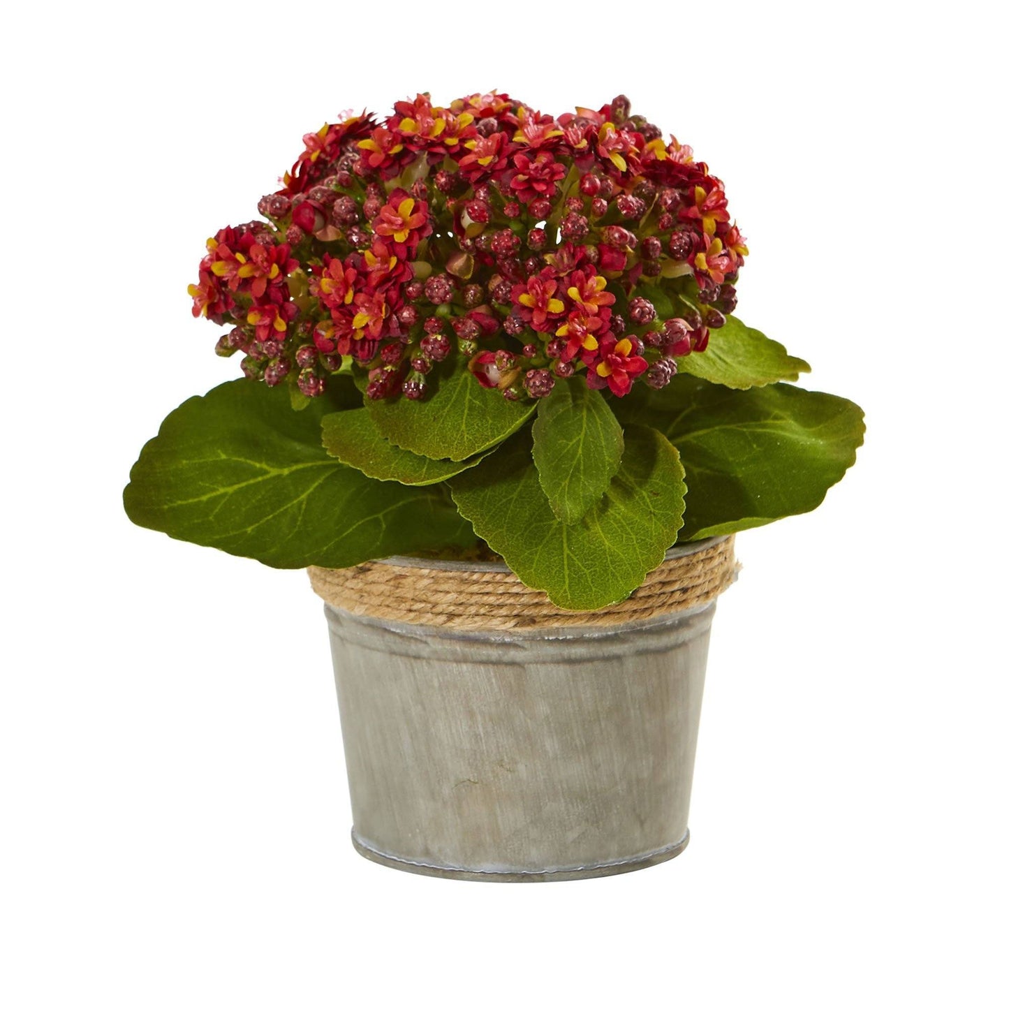 Arrangements artificiels de Kalanchoe (lot de 3)