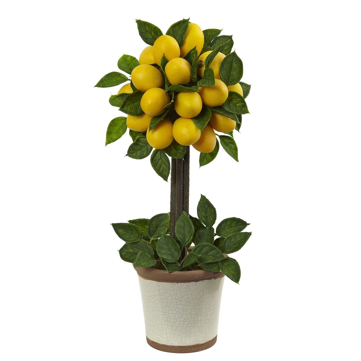 Arrangement topiaire de boules de citron