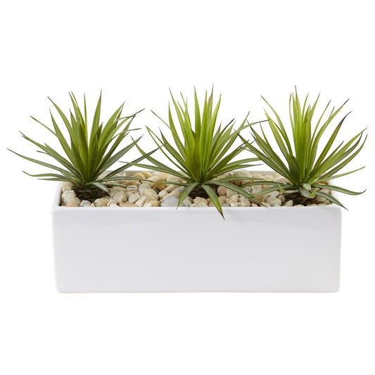 Mini Agave in Rectangular Ceramic