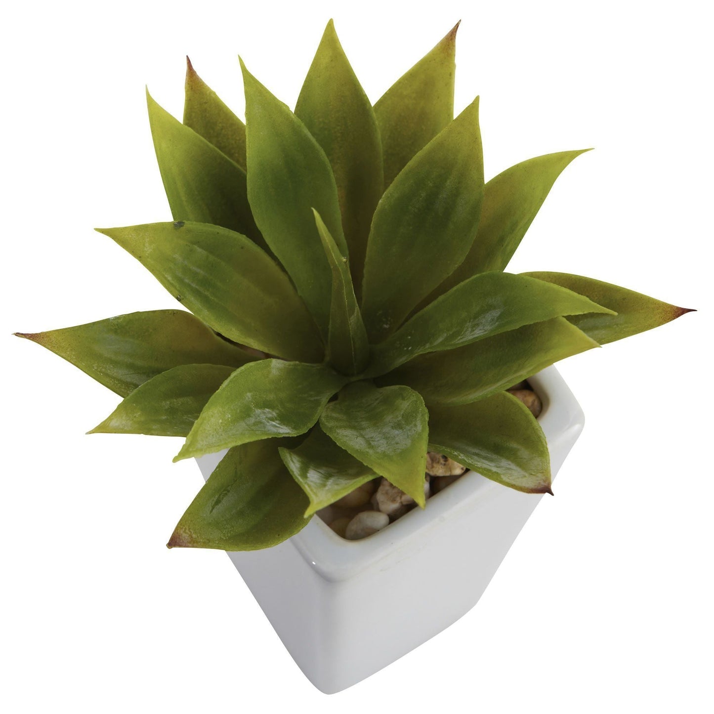 Mini Agave con macetero (juego de 3) blanco