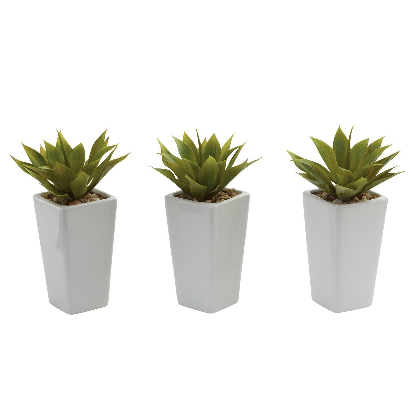 Mini Agave con macetero (juego de 3) blanco