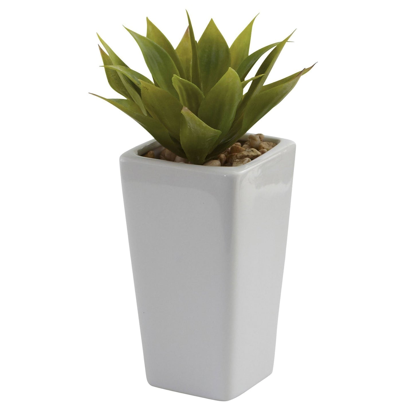 Mini Agave con macetero (juego de 3) blanco