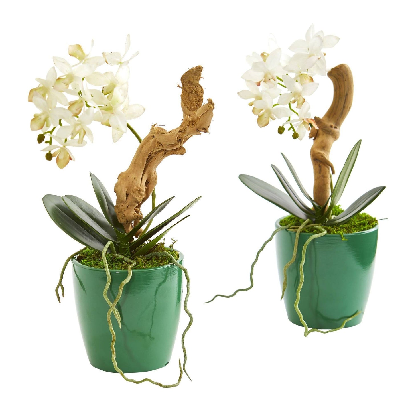 Arreglo artificial de orquídeas Phalaenopsis mini en macetero verde (juego de 2)