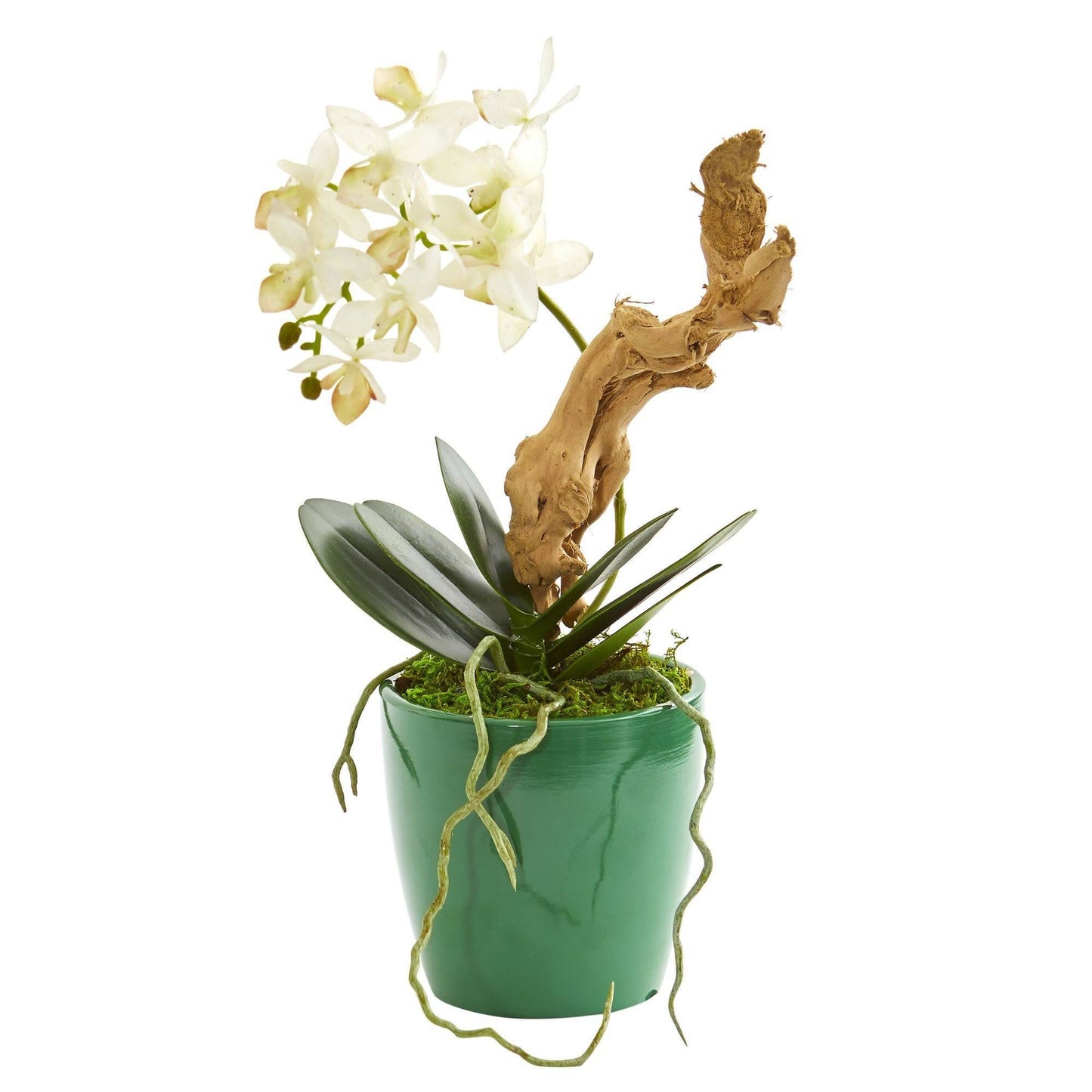 Arreglo artificial de orquídeas Phalaenopsis mini en macetero verde (juego de 2)