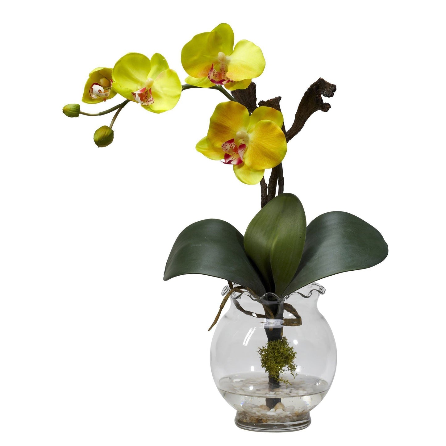 Mini Phalaenopsis avec vase cannelé, composition florale en soie