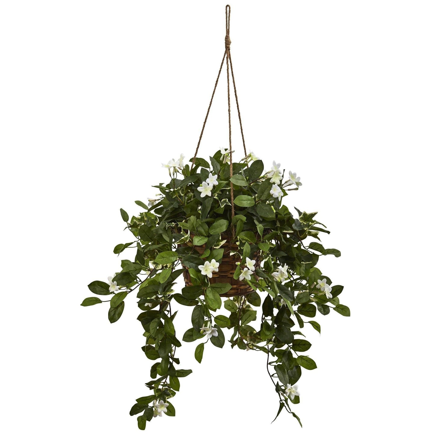 Panier suspendu mixte de Stephanotis