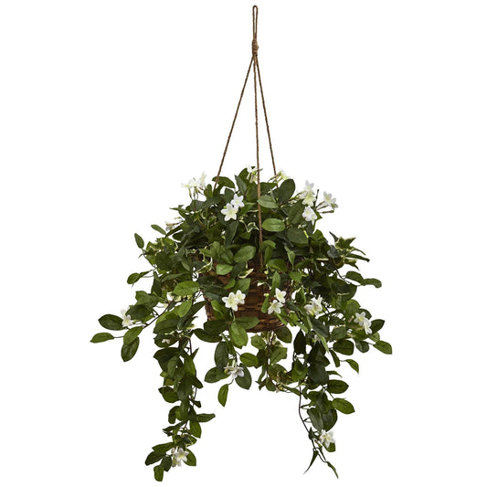 Panier suspendu mixte de Stephanotis