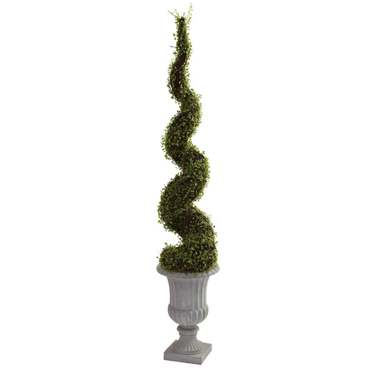 Árbol espiral de Mohlenbechia con urna decorativa