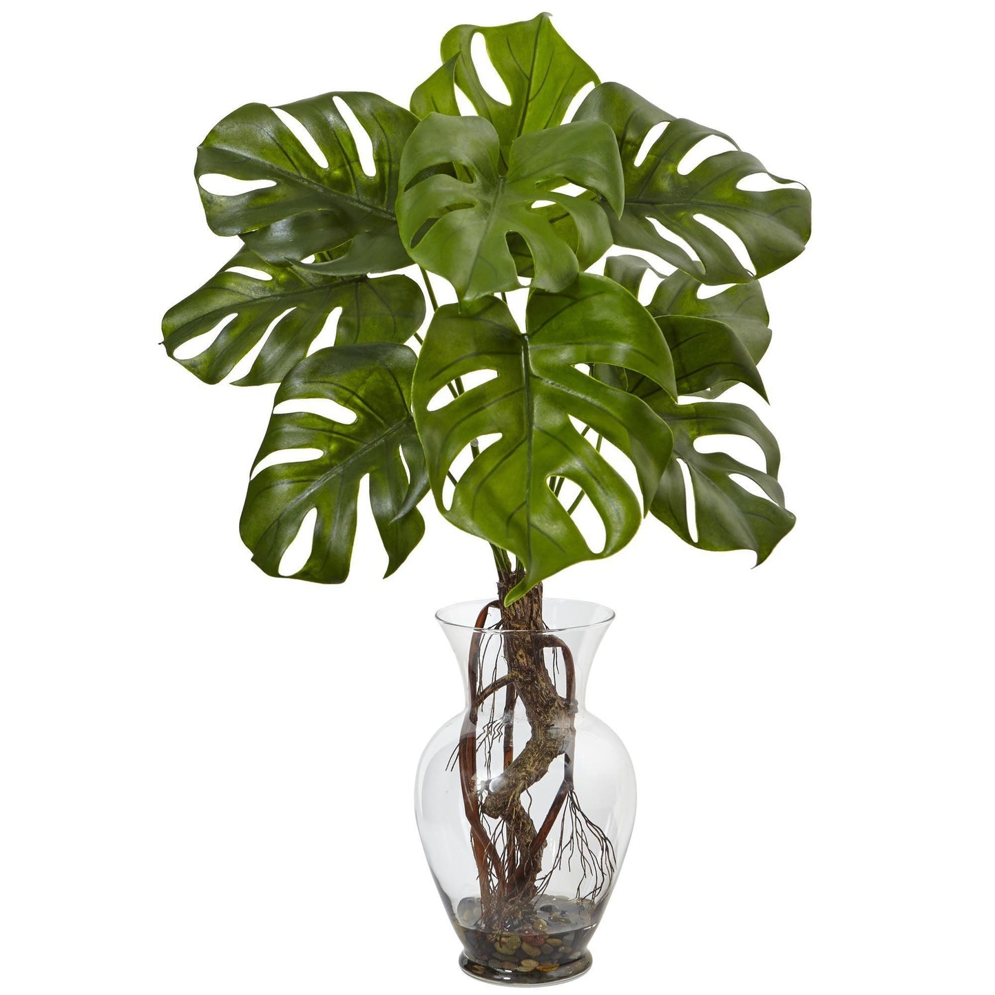 Planta Monstera con Jarrón