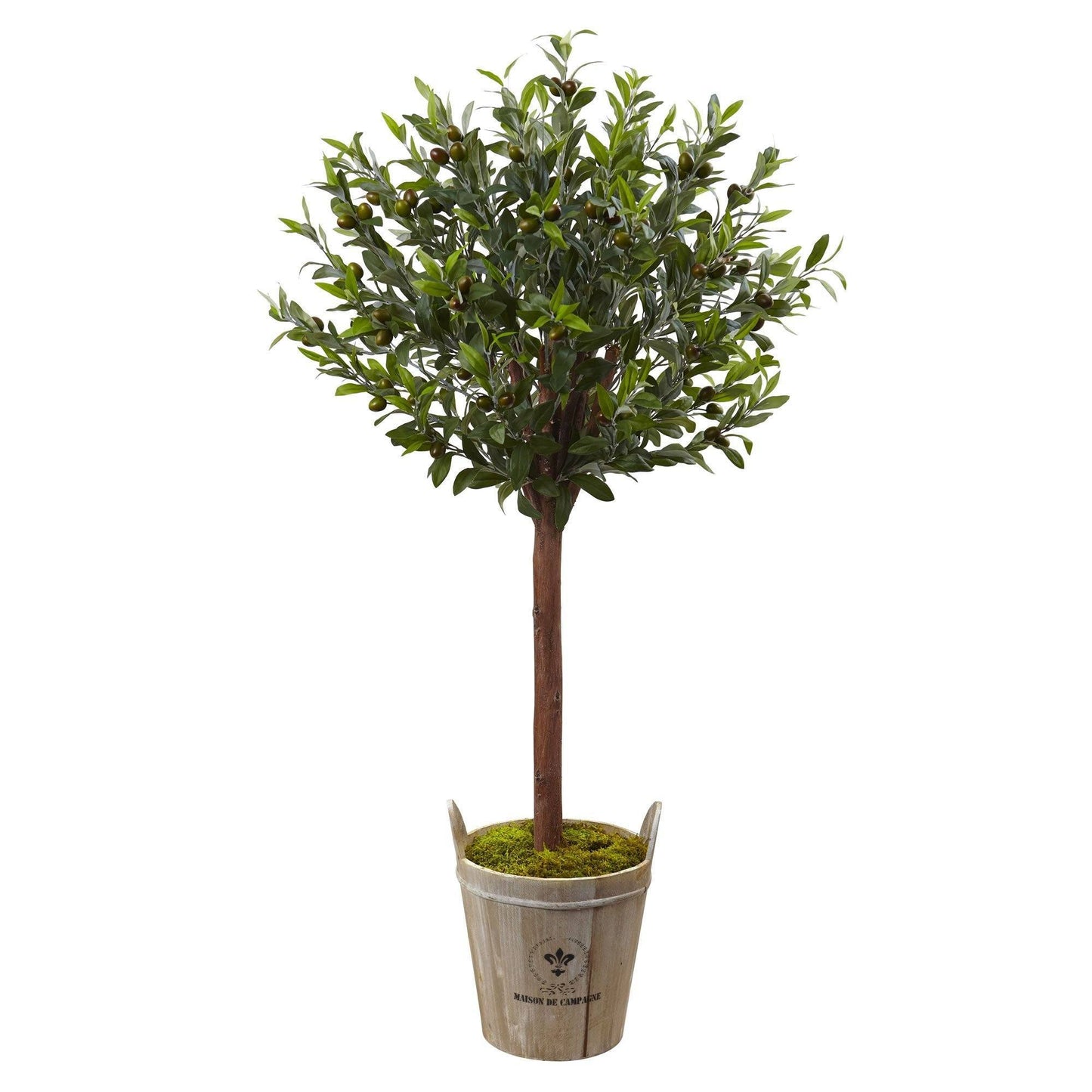 Árbol topiario de olivo con jardinera de estilo rústico