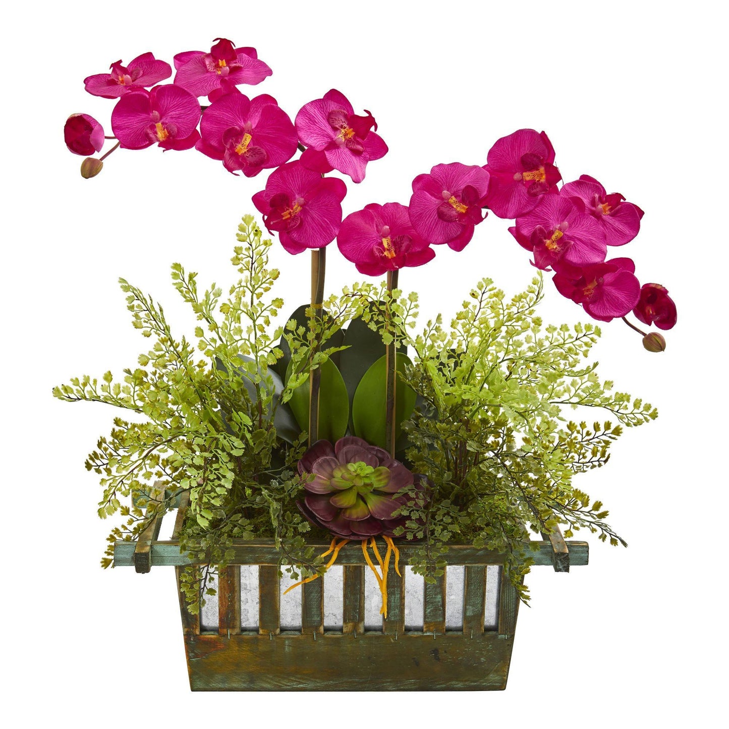 Orchid, Succulent and Maiden Hair Artificial Arrangement