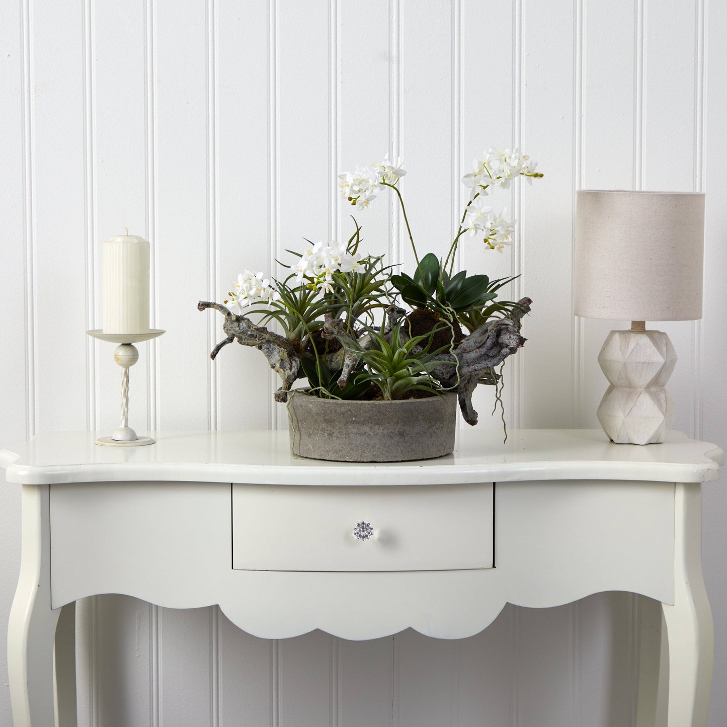 Jardin d'orchidées et de plantes grasses avec bois flotté et vase décoratif