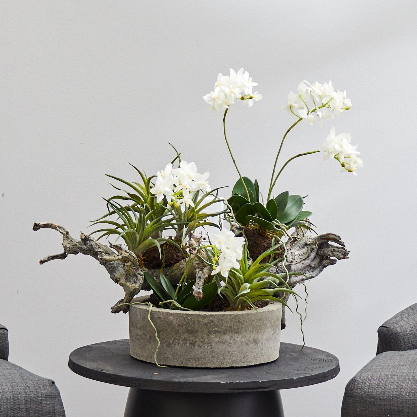 Jardin d'orchidées et de plantes grasses avec bois flotté et vase décoratif