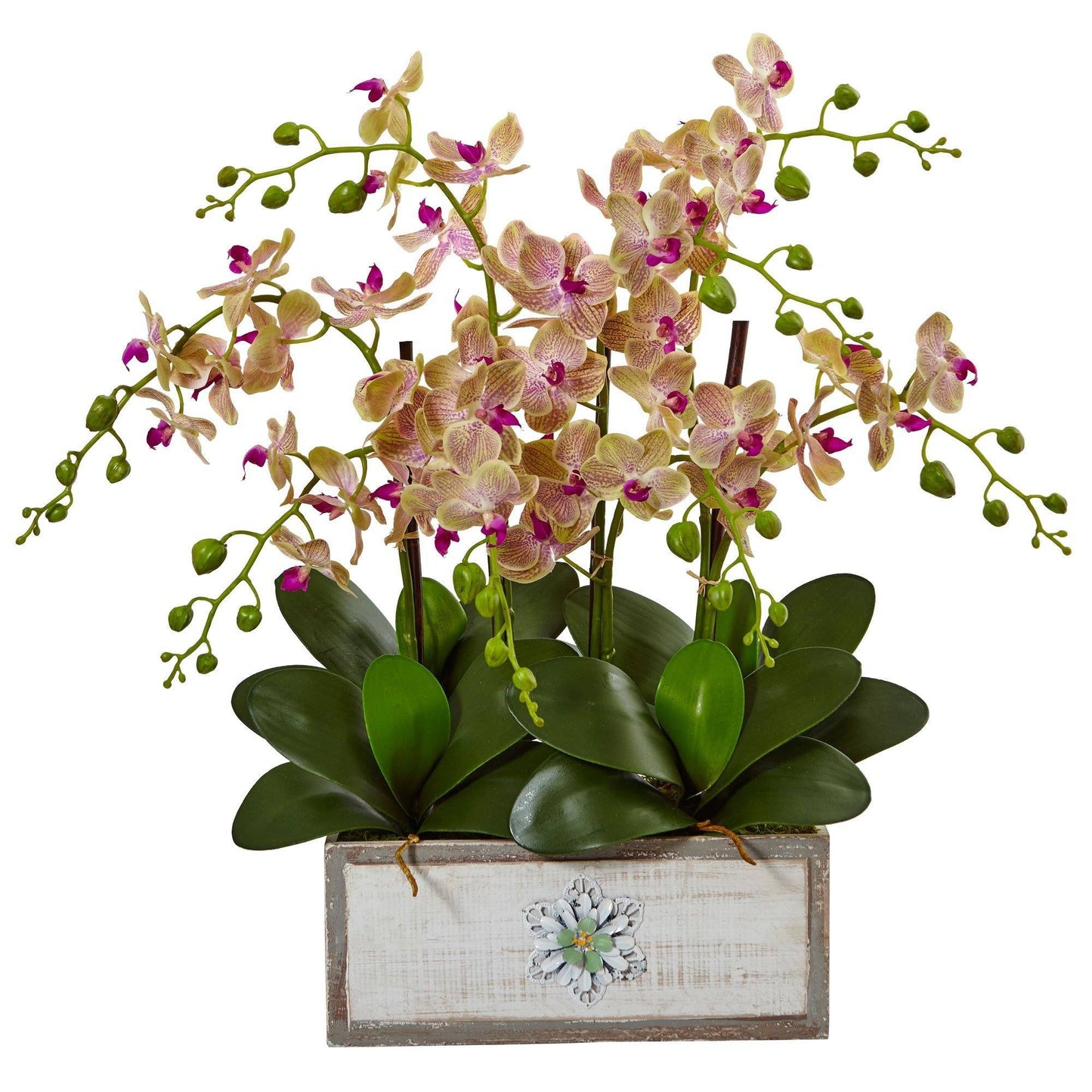 Arreglo de orquídeas Phalaenopsis en jarrón decorativo de madera