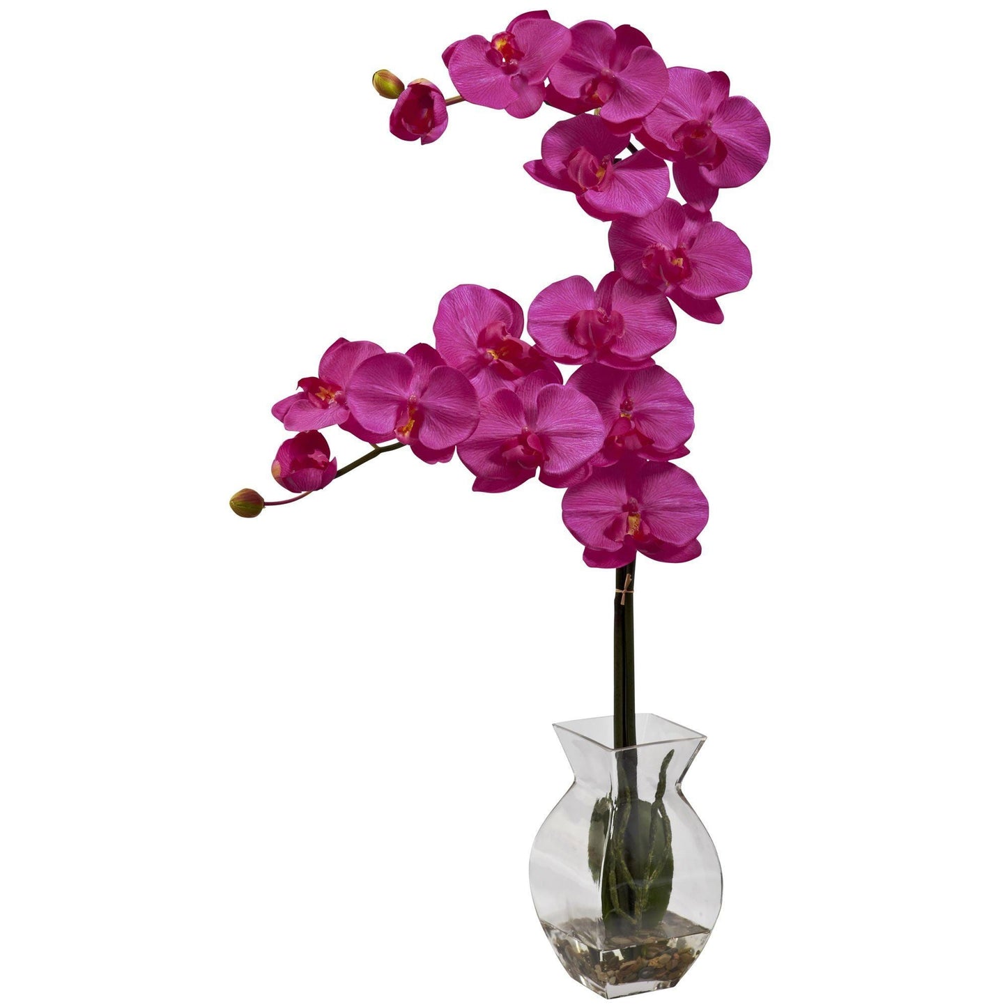 Orquídea Phalaenopsis con arreglo de jarrón