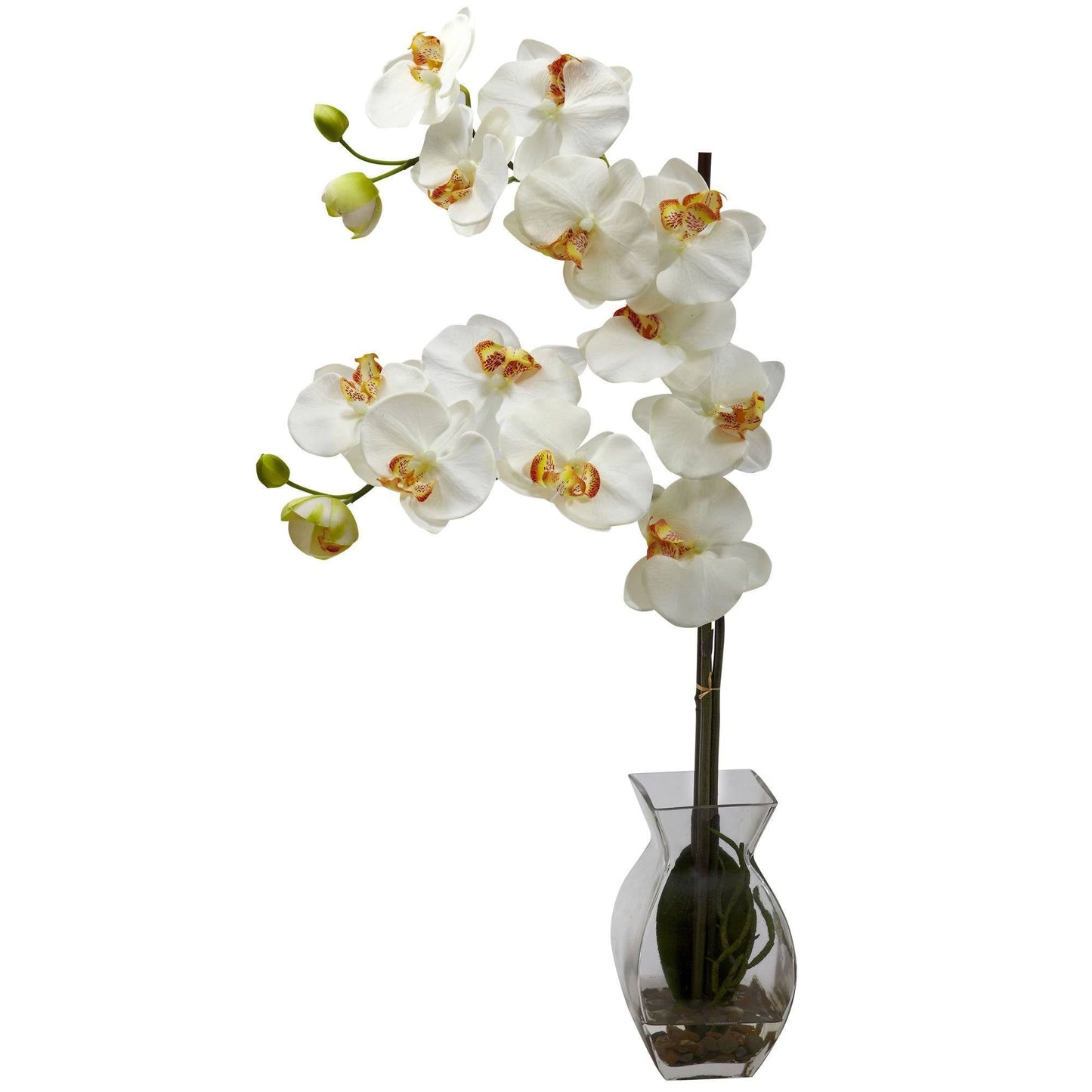 Orquídea Phalaenopsis con arreglo de jarrón