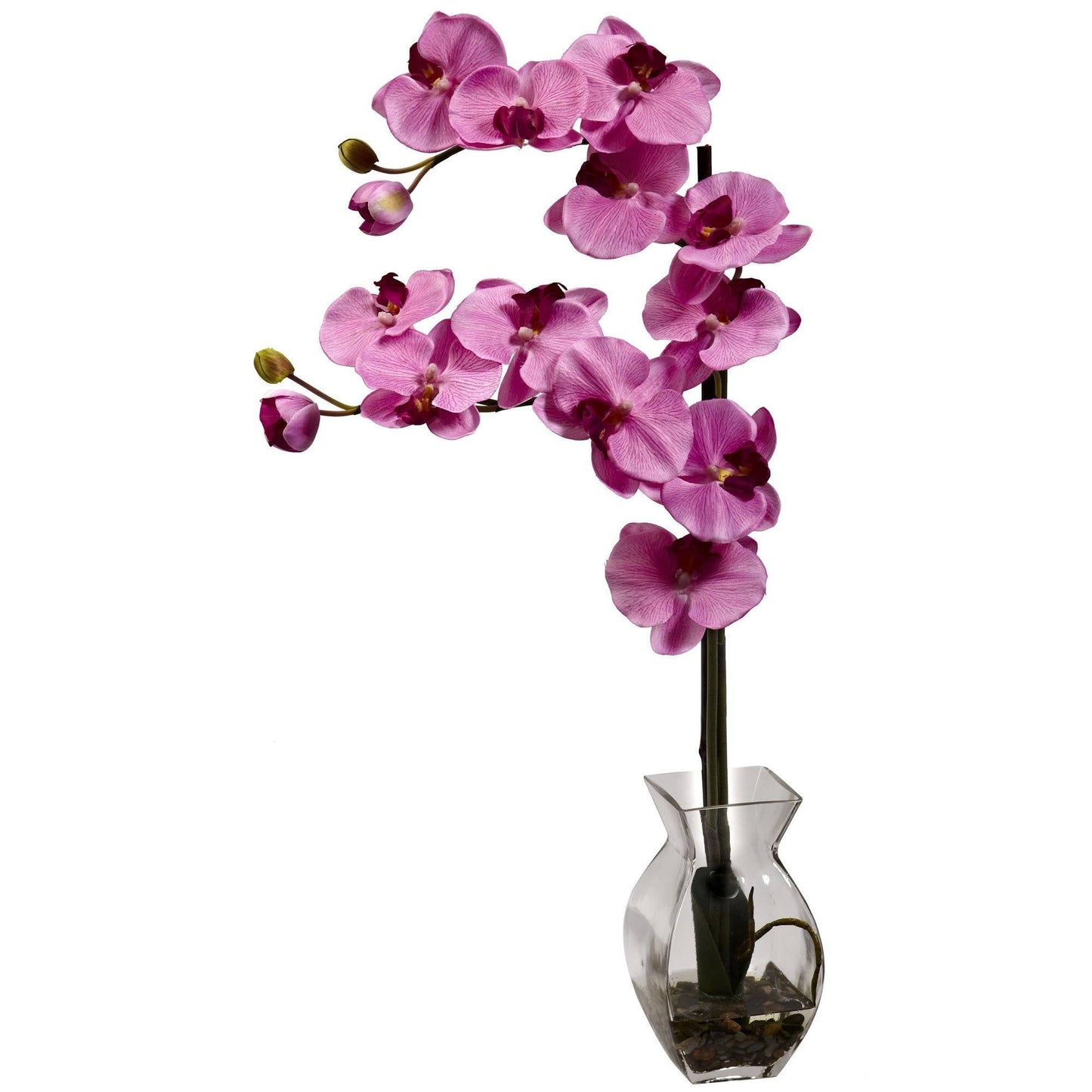 Orquídea Phalaenopsis con arreglo de jarrón