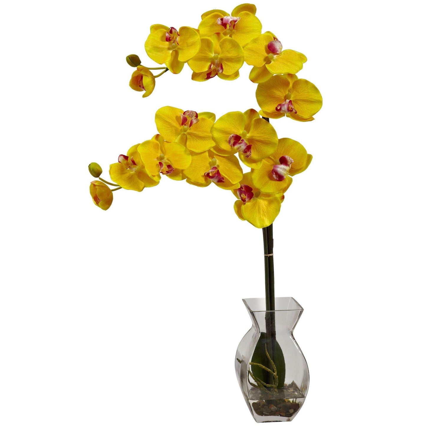 Orquídea Phalaenopsis con arreglo de jarrón