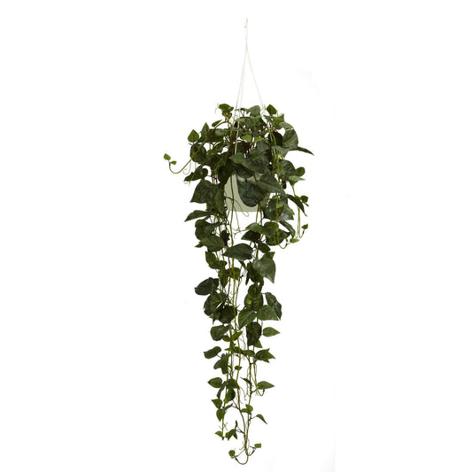 Philodendron Panier suspendu Plante en soie