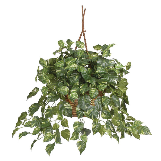 Pothos Panier suspendu Plante en soie