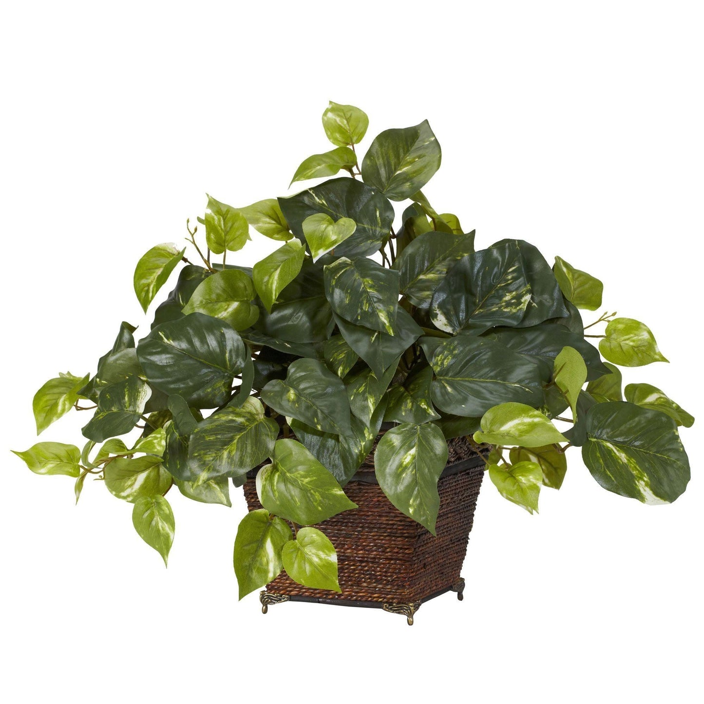 Pothos avec jardinière en corde enroulée - plante en soie