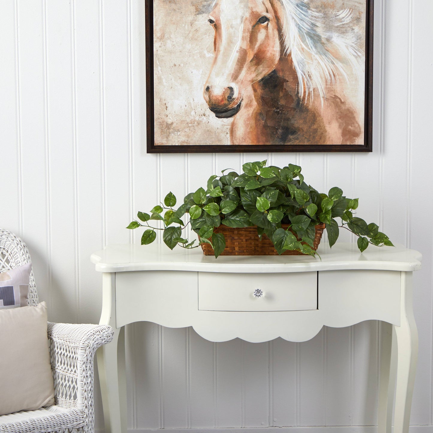 Pothos avec panier à rebord