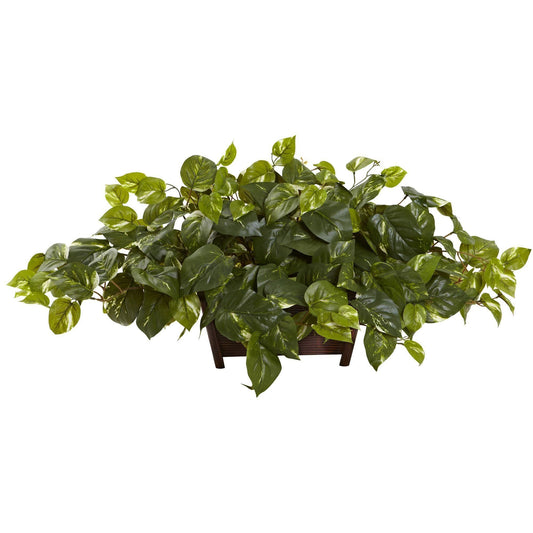 Pothos avec jardinière décorative rectangulaire