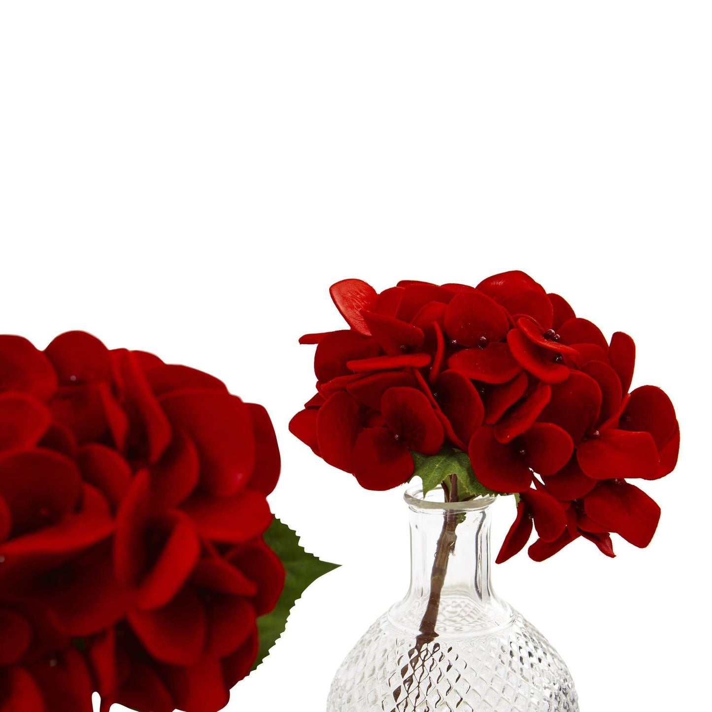 Hortensia rouge avec vase en verre (lot de 3)