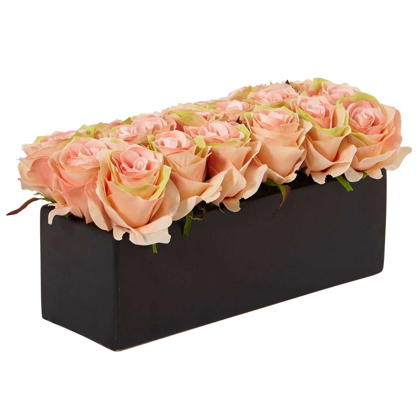 Roses dans un pot rectangulaire