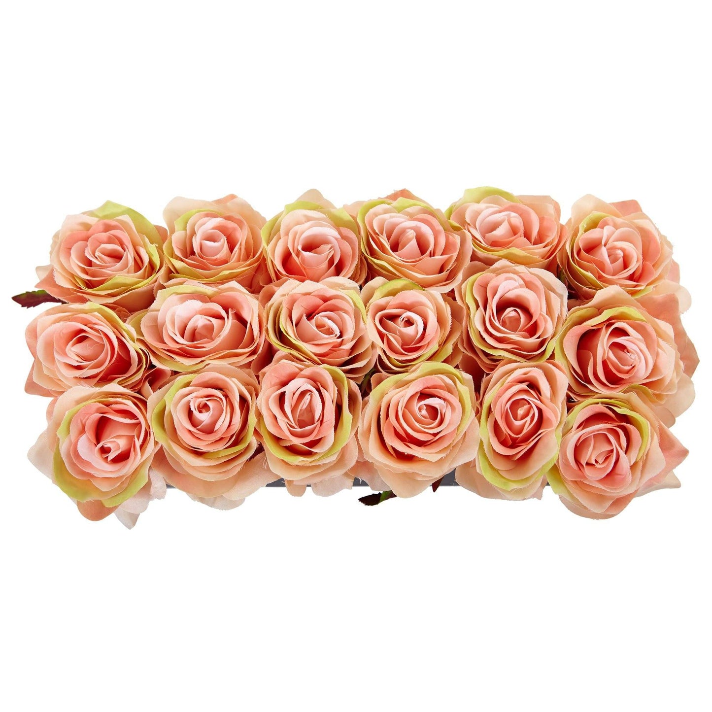 Roses dans un pot rectangulaire