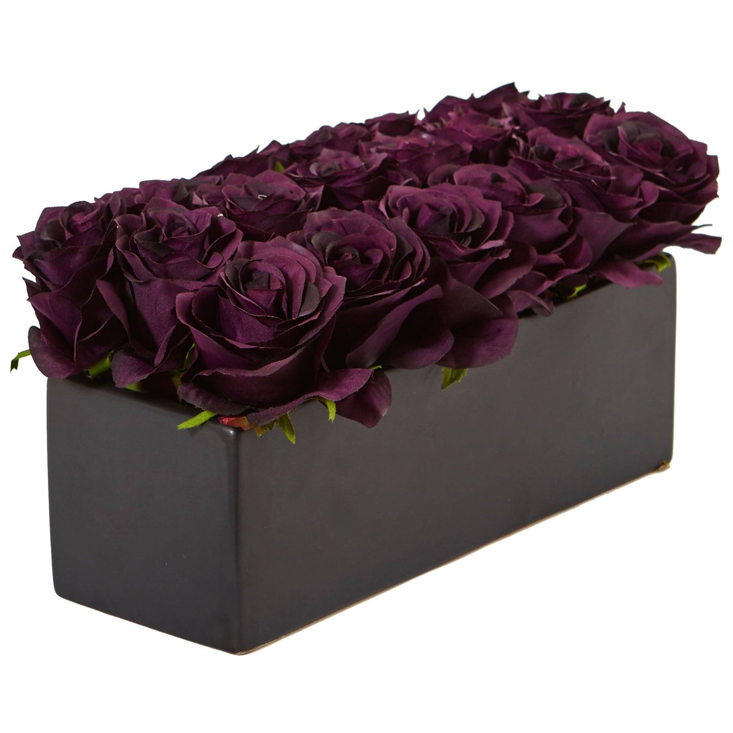 Roses dans un pot rectangulaire