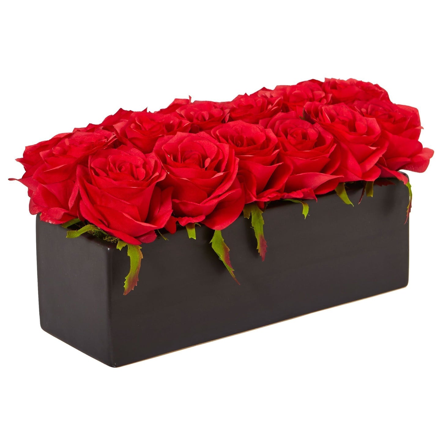 Roses dans un pot rectangulaire