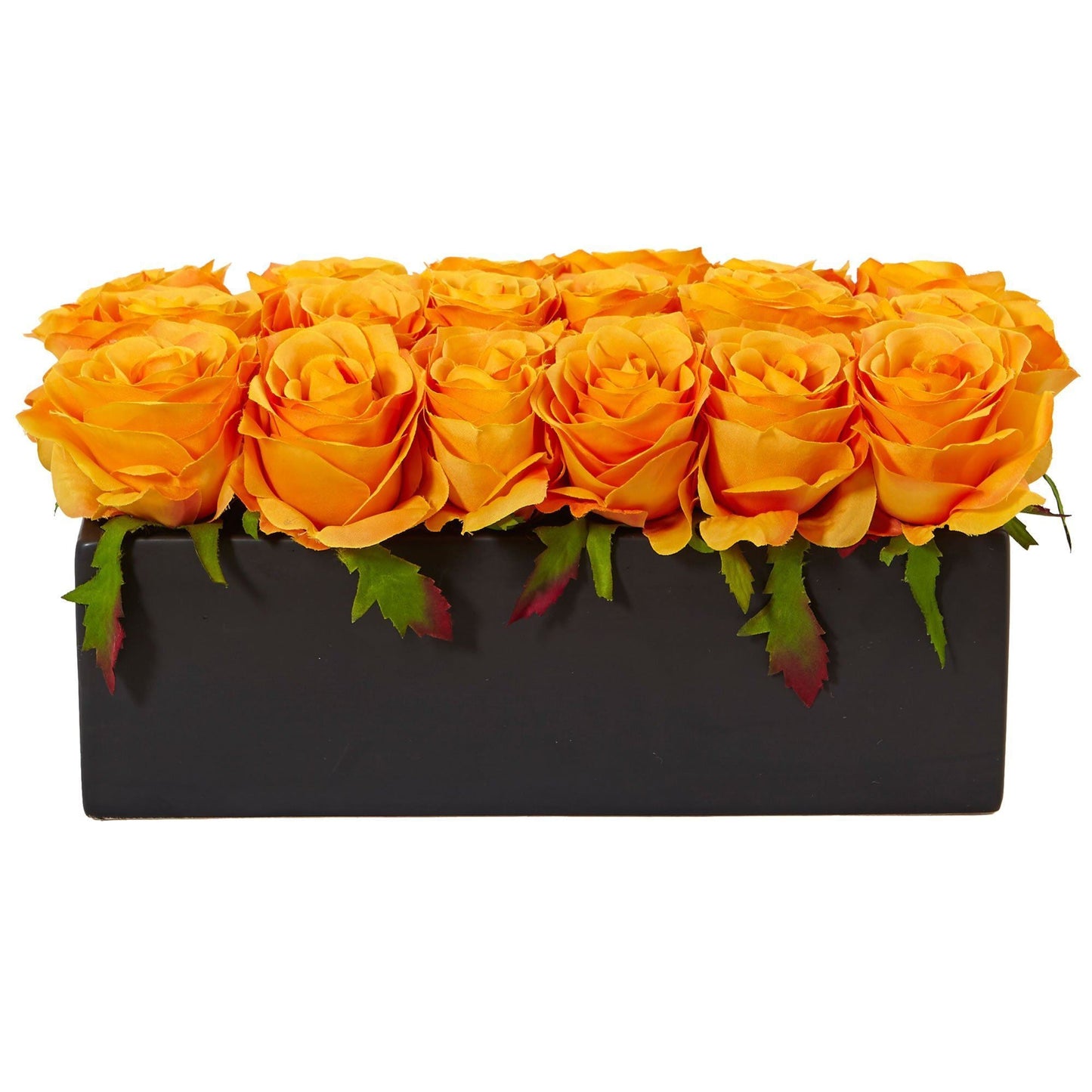 Roses dans un pot rectangulaire