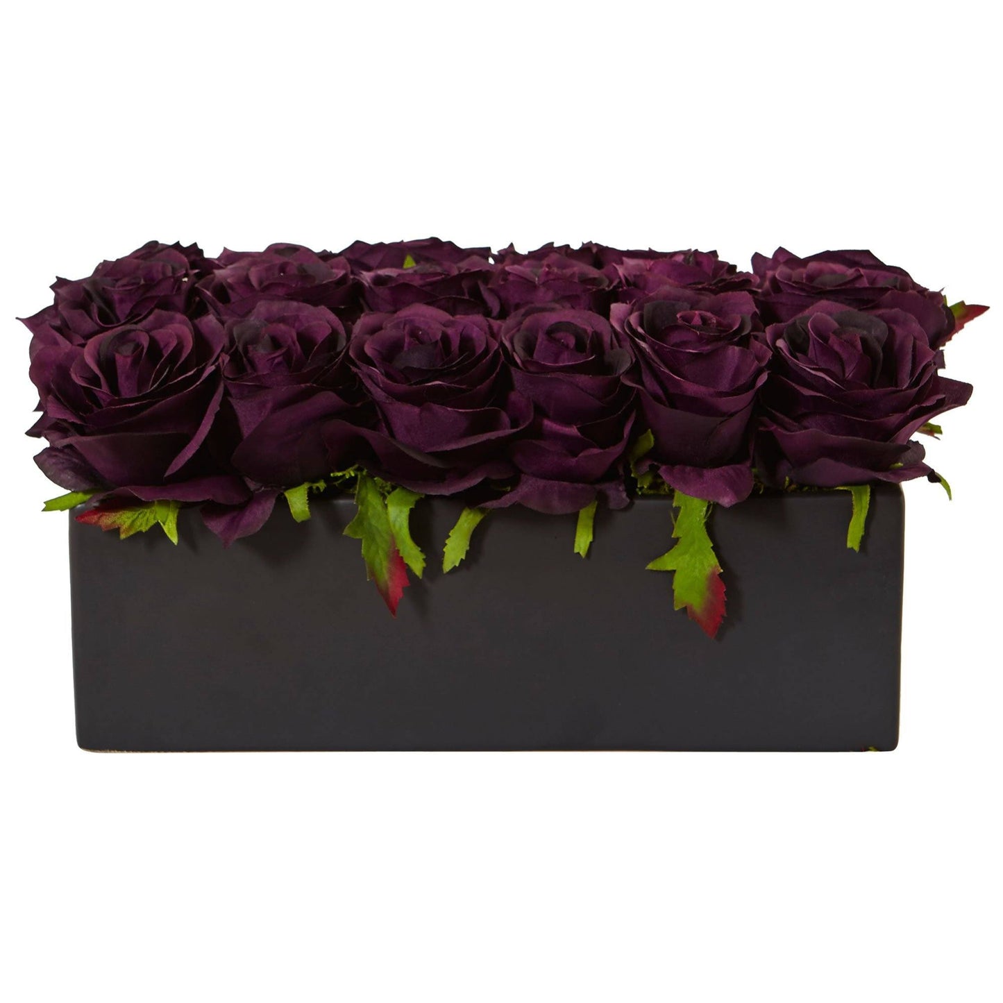 Roses dans un pot rectangulaire