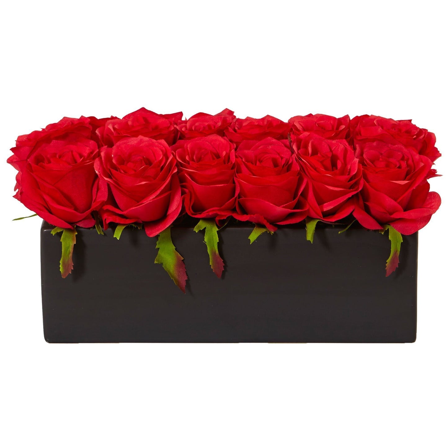 Roses dans un pot rectangulaire