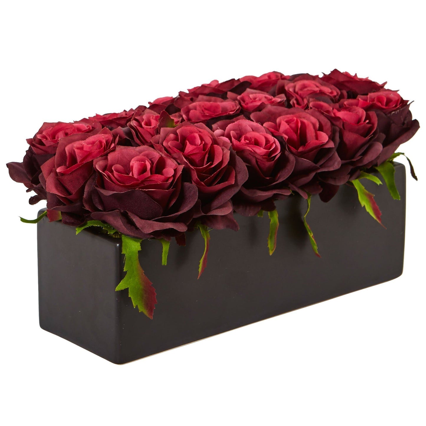 Roses dans un pot rectangulaire