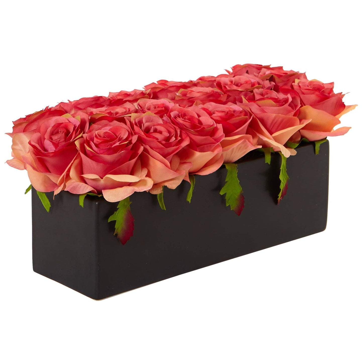 Roses dans un pot rectangulaire