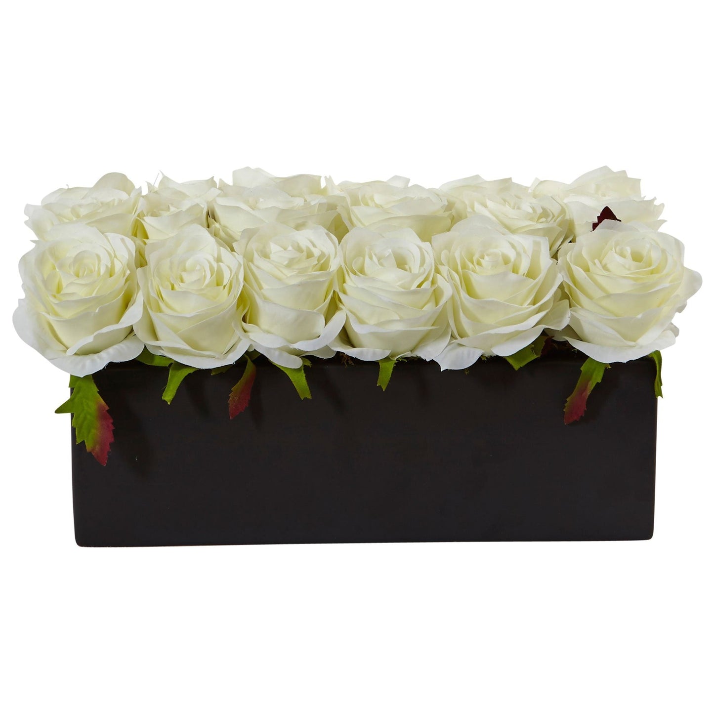 Roses dans un pot rectangulaire