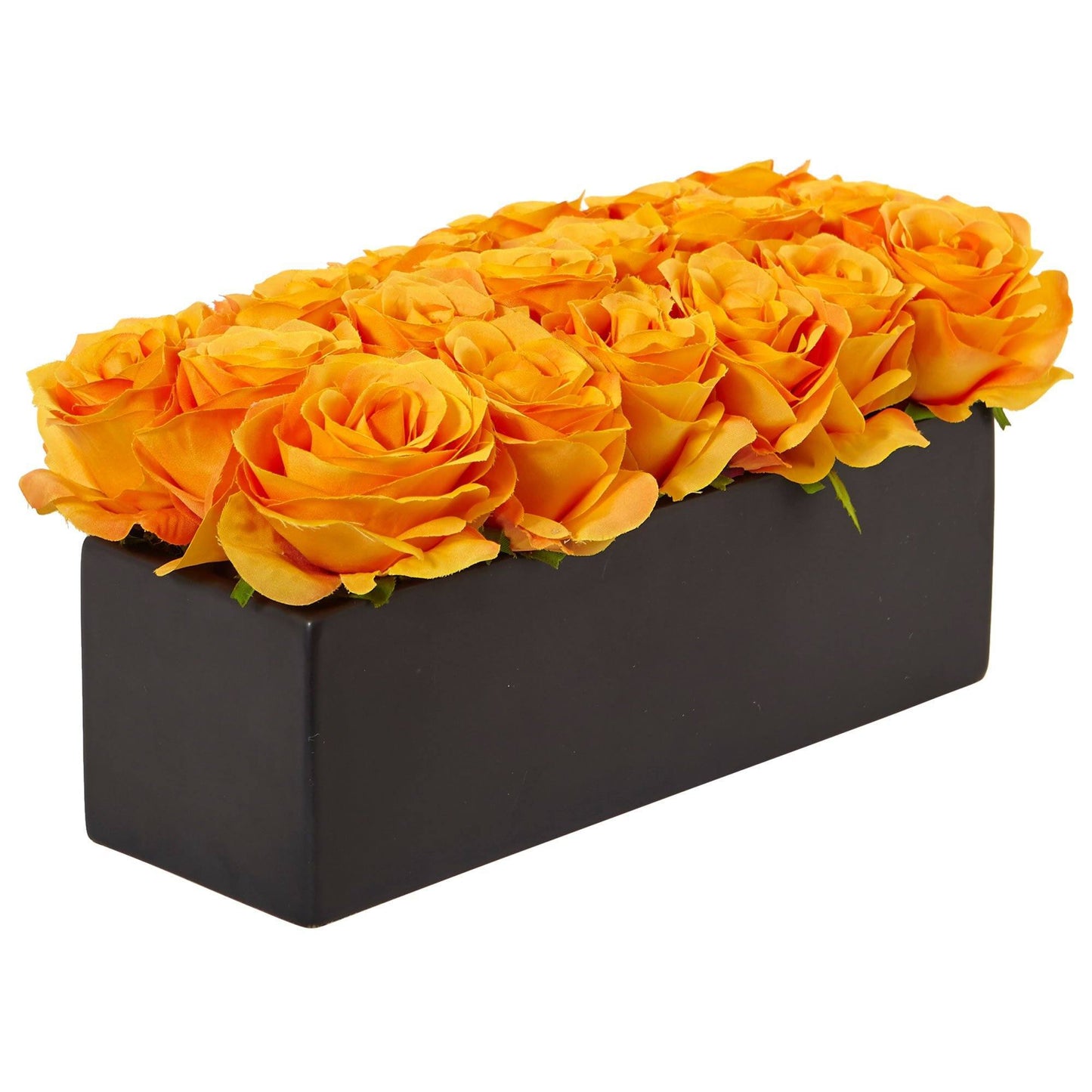 Roses dans un pot rectangulaire