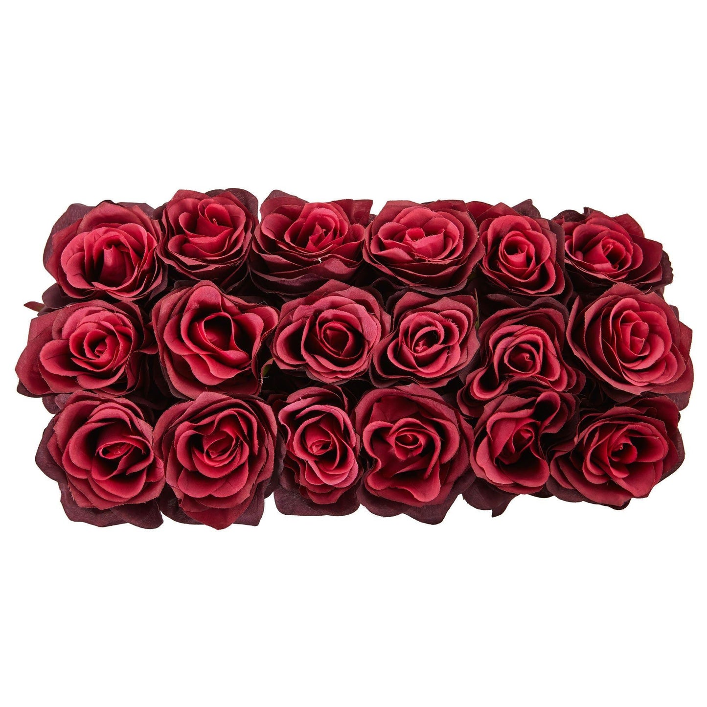 Roses dans un pot rectangulaire