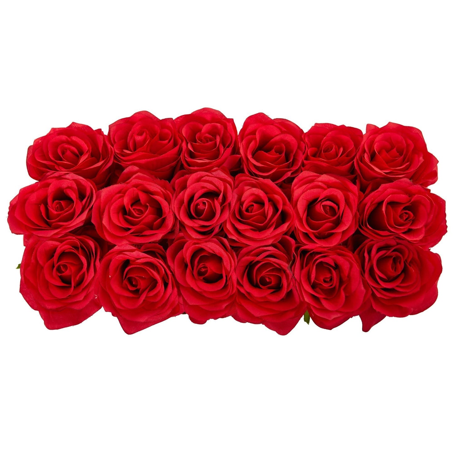 Roses dans un pot rectangulaire