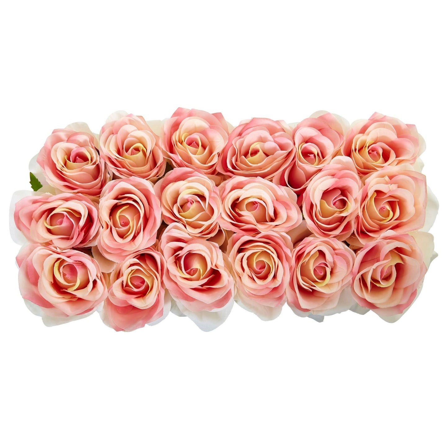 Roses dans un pot rectangulaire