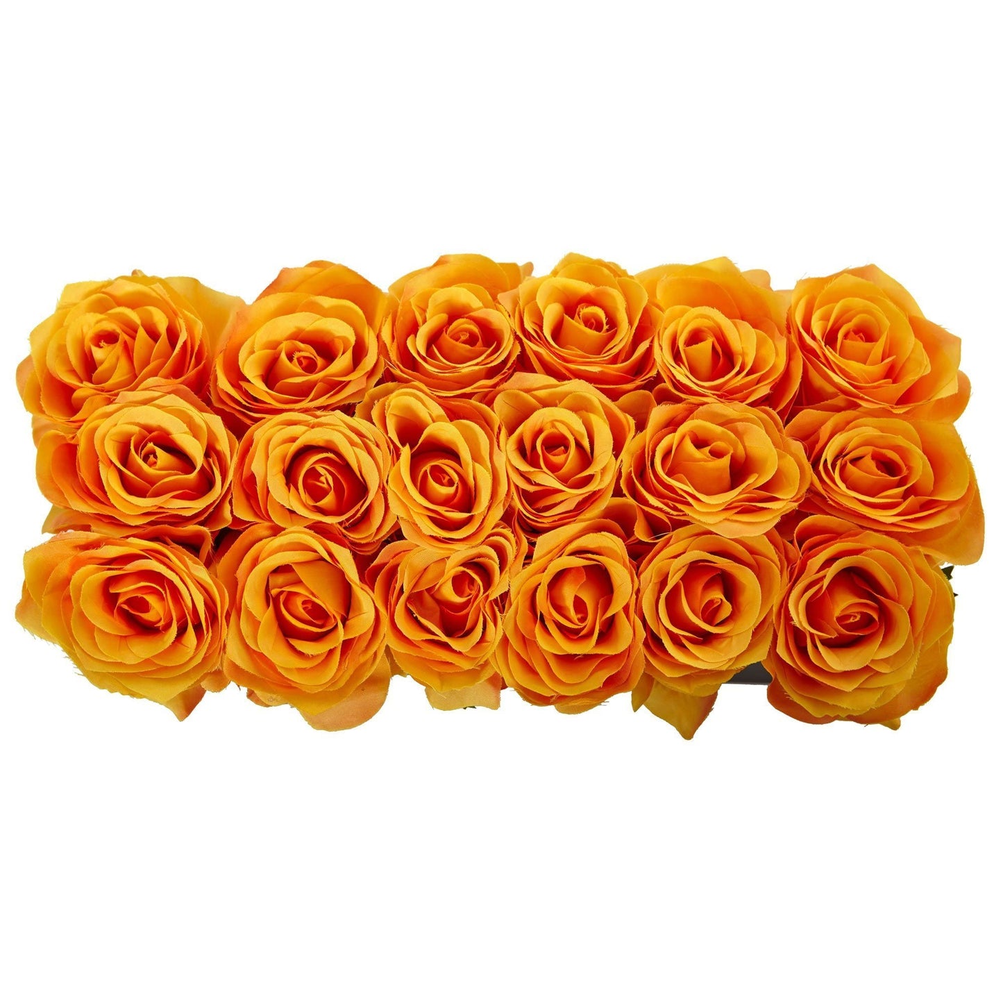 Roses dans un pot rectangulaire