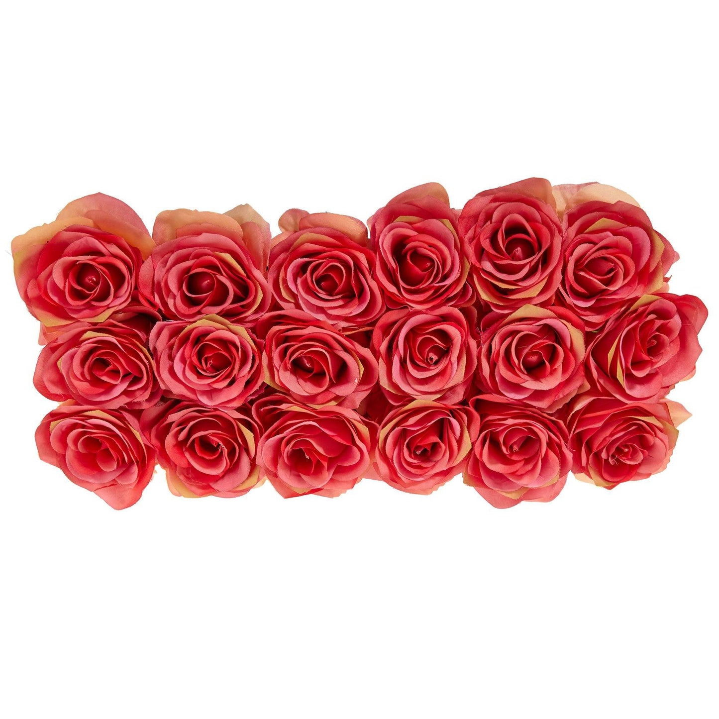 Roses dans un pot rectangulaire